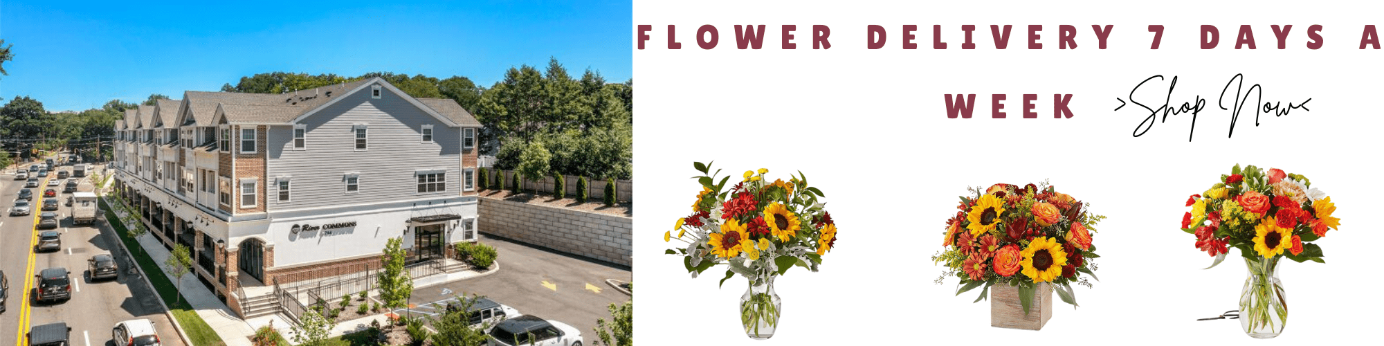spring flowers (98)